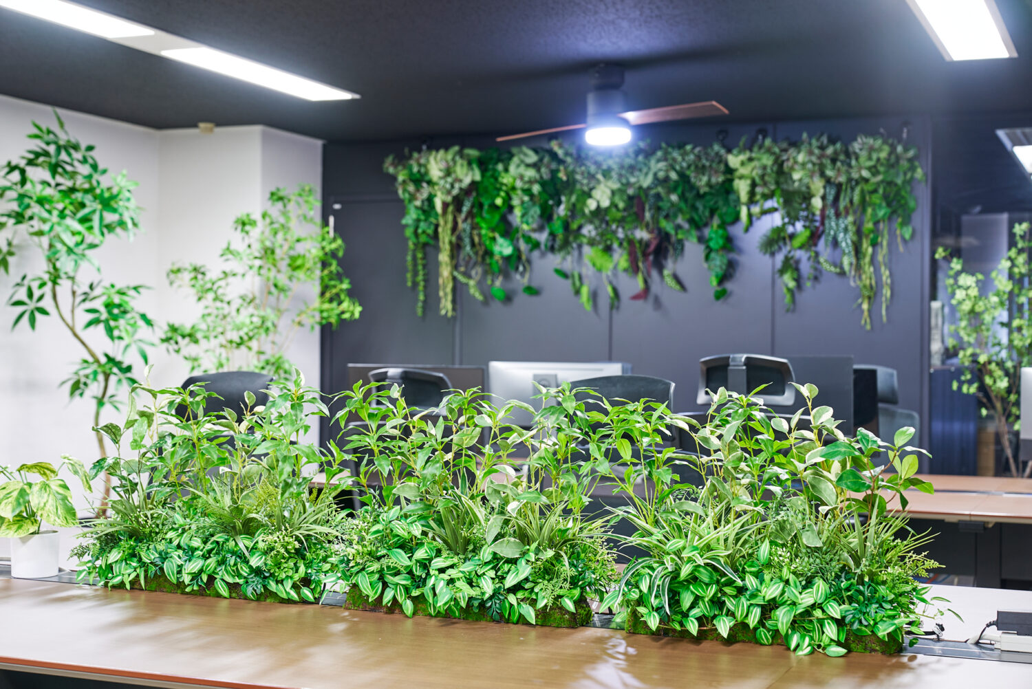 デスク周りの目隠しに適したグリーンアレンジ