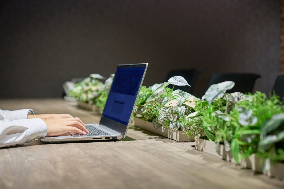 会議室にも“癒し”のグリーンを｜低めのブッシュで快適な空間づくり