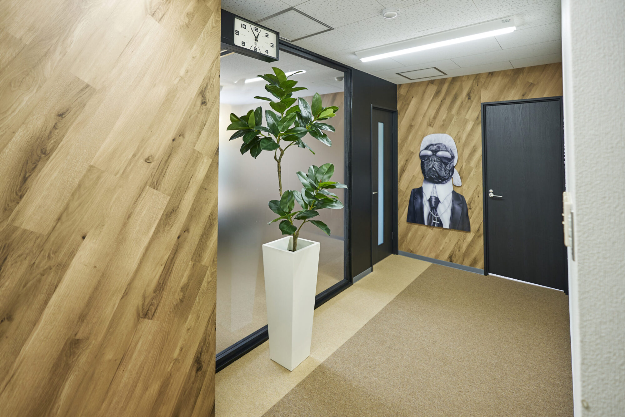 オフィスのエントランスに飾られた造花のゴムの木