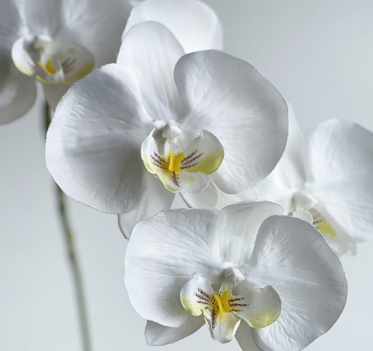 ⾼級感とリアルさを両⽴する「ナチュラルタッチ加⼯」