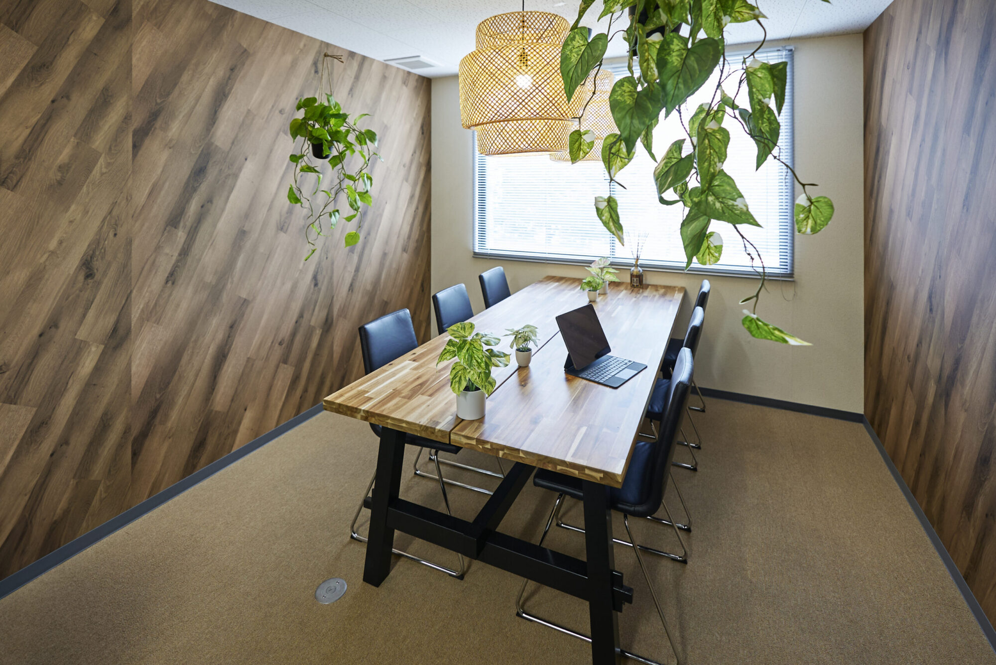 造花のハンギンググリーンが吊るされた会議室