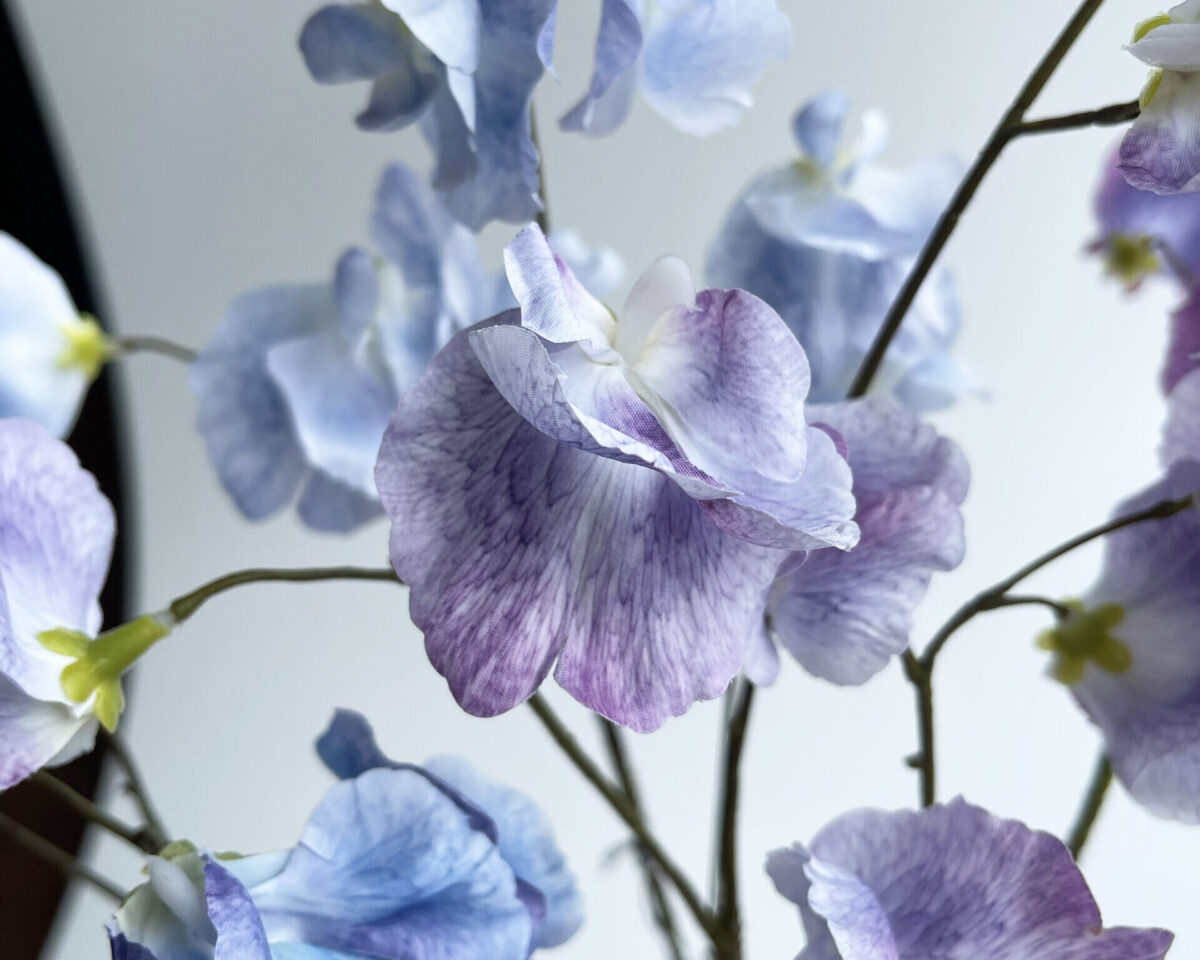 精度と再現性を⾼める「プリント着⾊」