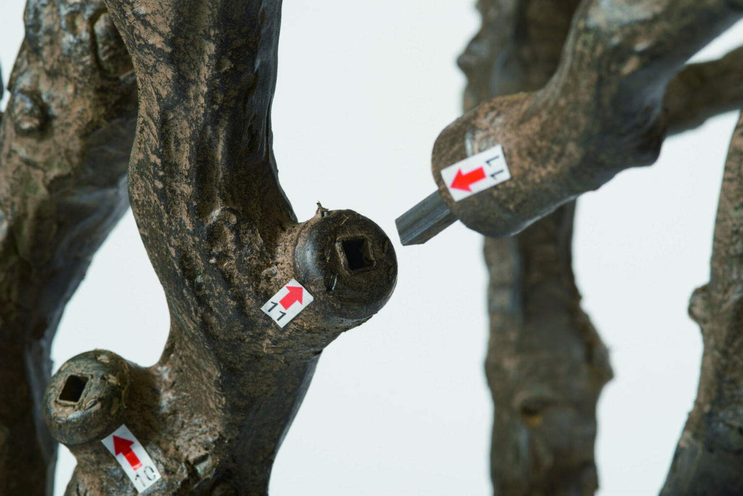 大型でも、スマートに届ける｜“ノックダウン観葉”で叶える新しい配送のかたち