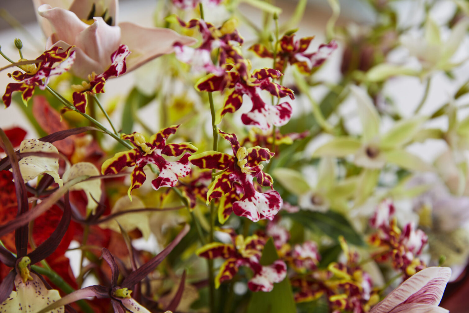 アーティフィシャルフラワーのアップ