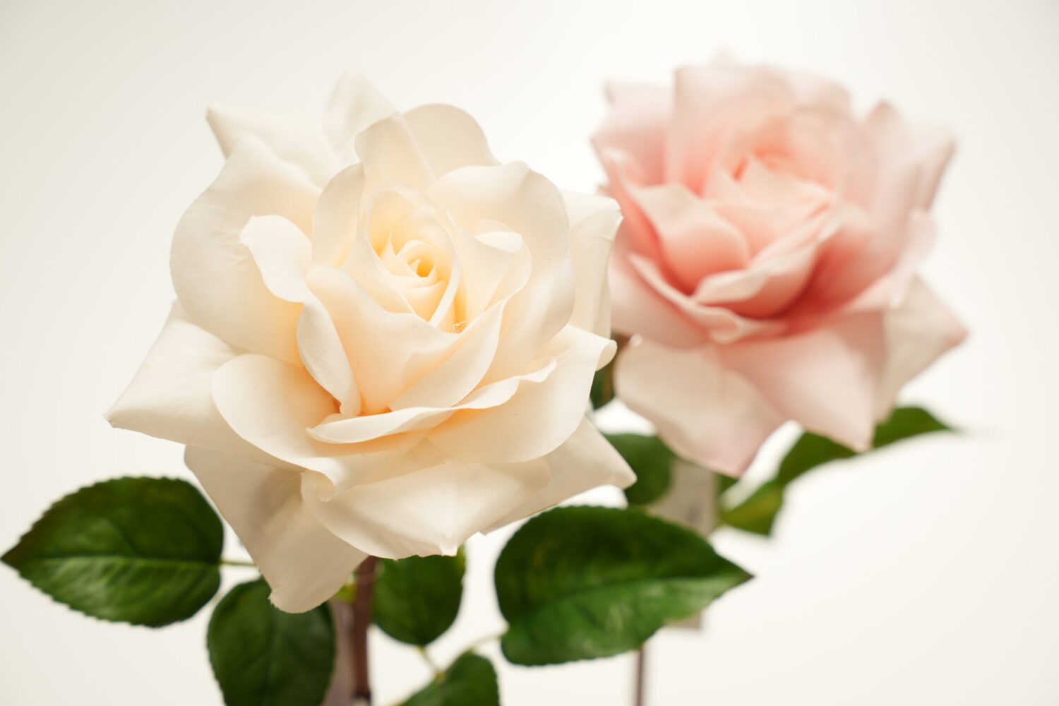 本物のような“質感”を空間に｜リアルタッチで叶える上質なアーティフィシャルフラワー