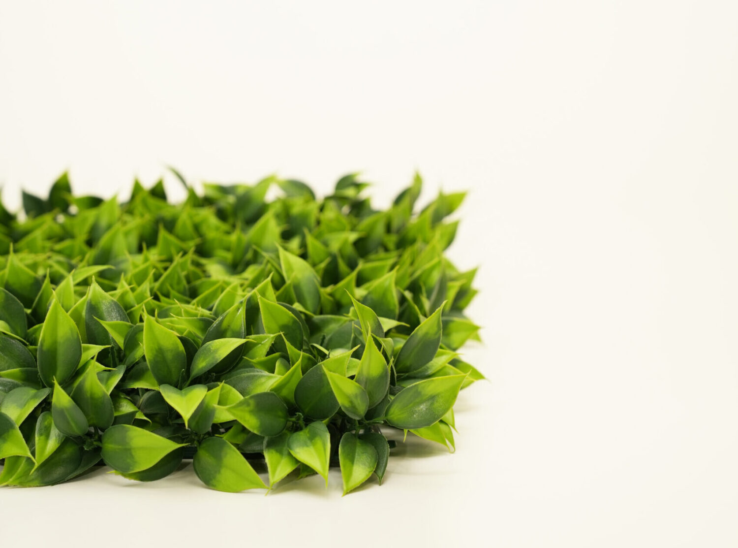 屋外でも、きれいが長持ち｜屋外対応造花グリーンのご紹介