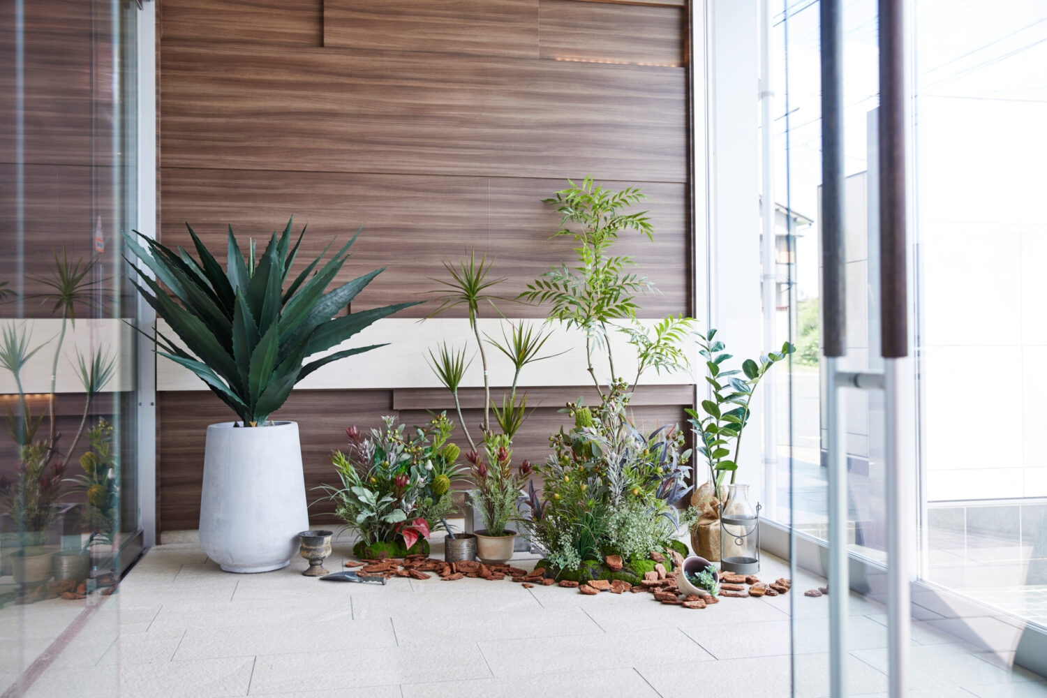 ワイルドに、自然の息吹を取り込む｜Aussieグリーンで魅せる最旬ディスプレイ