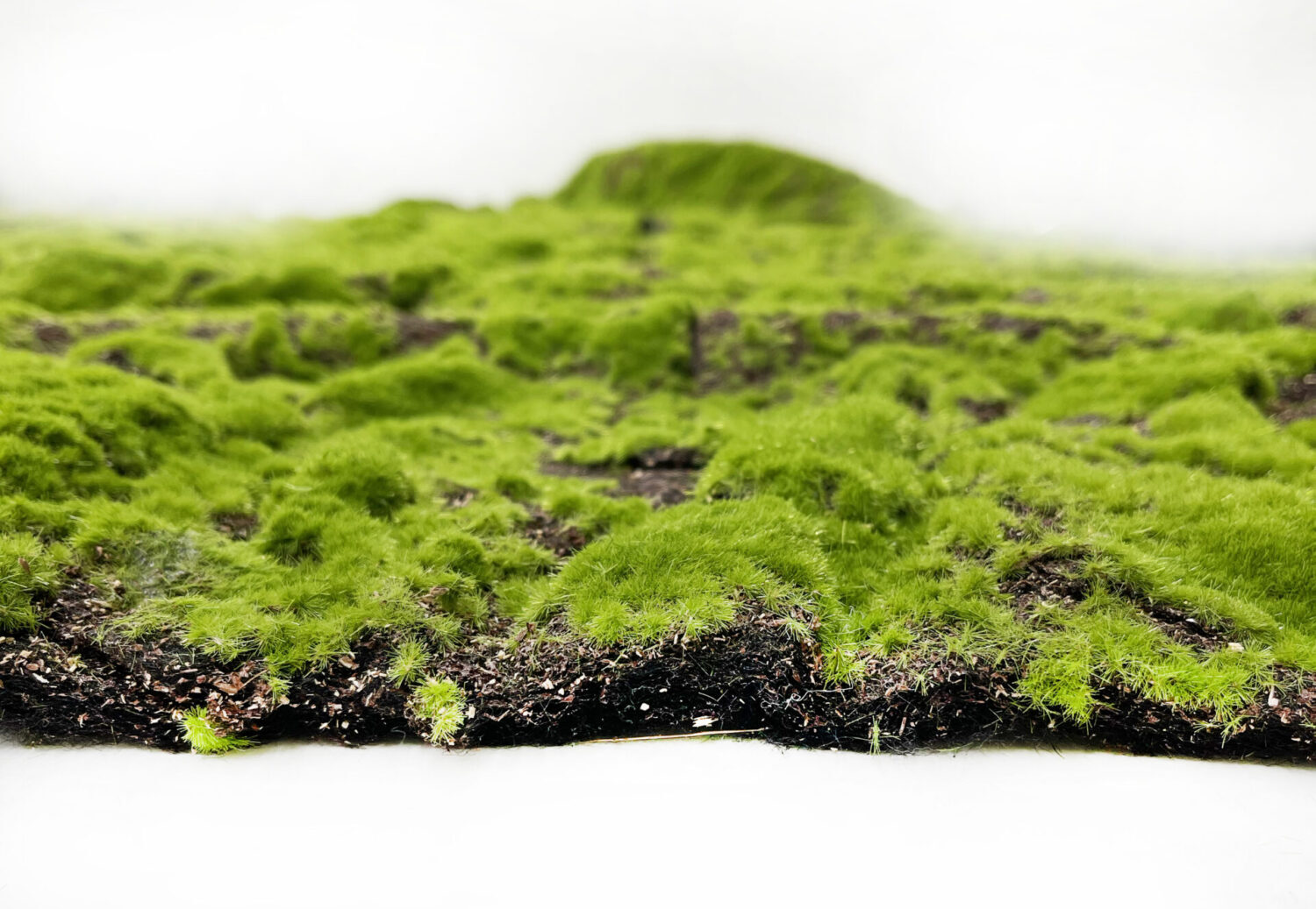 造花モスマット（A-15664）の側面