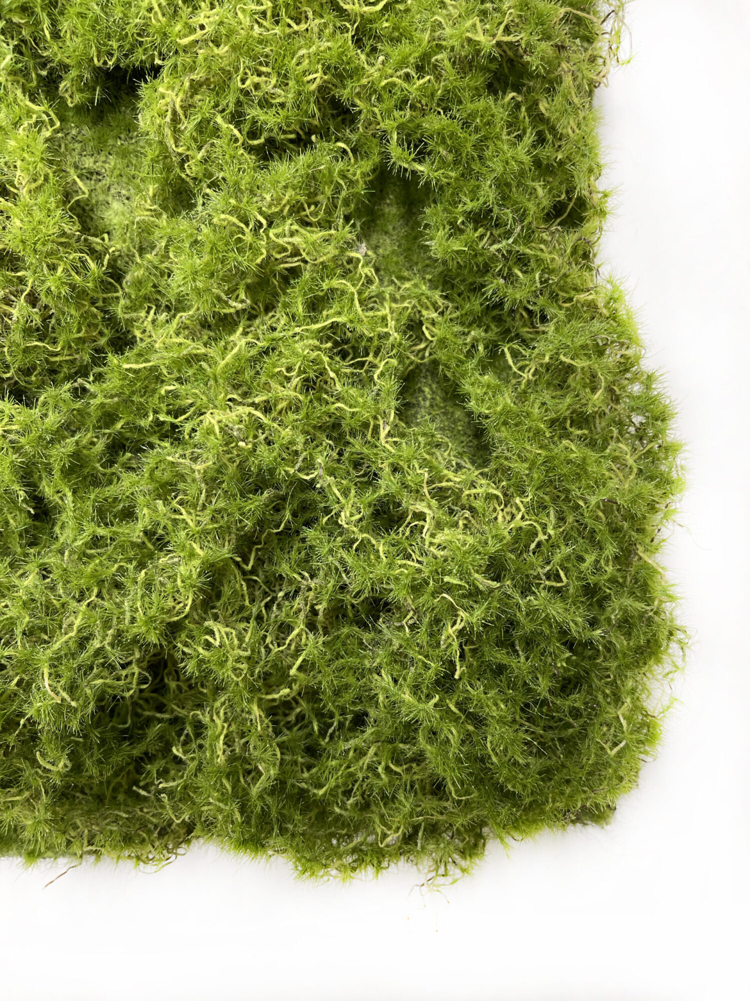 造花モスマット