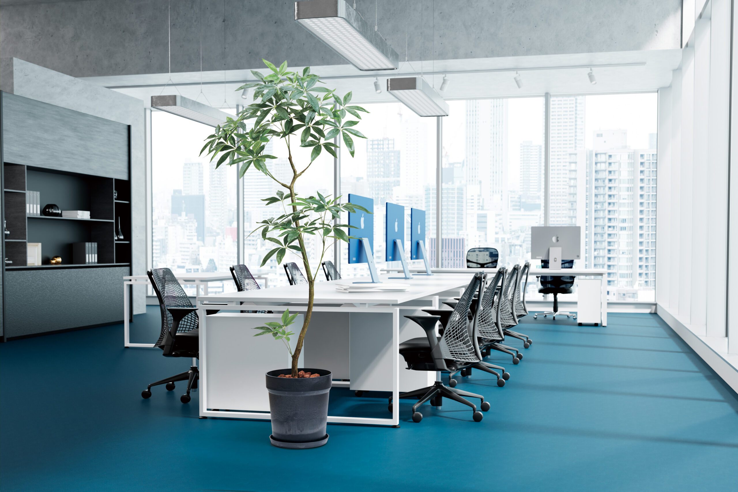 オフィス空間に新しい表情を｜S字トランク（幹）観葉植物のご提案