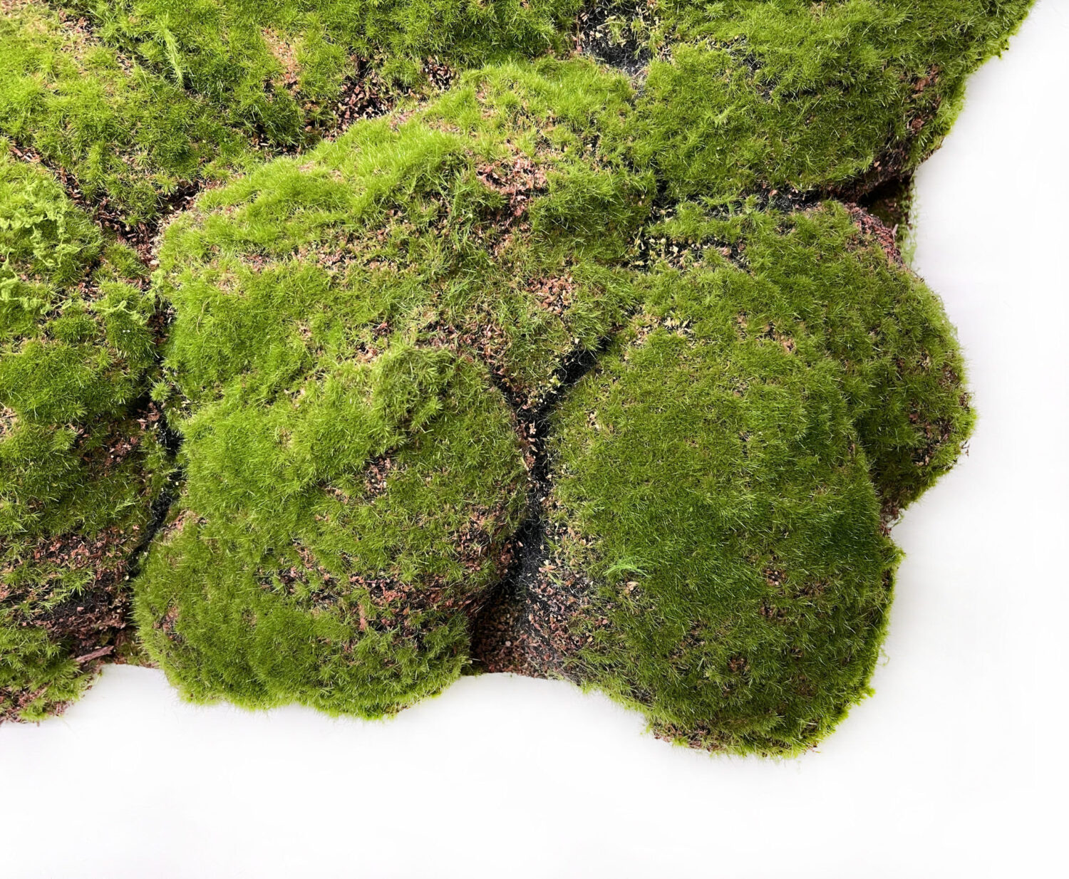 大規模装飾に欠かせない“モスマット”の魅力｜施工現場での活用ポイント