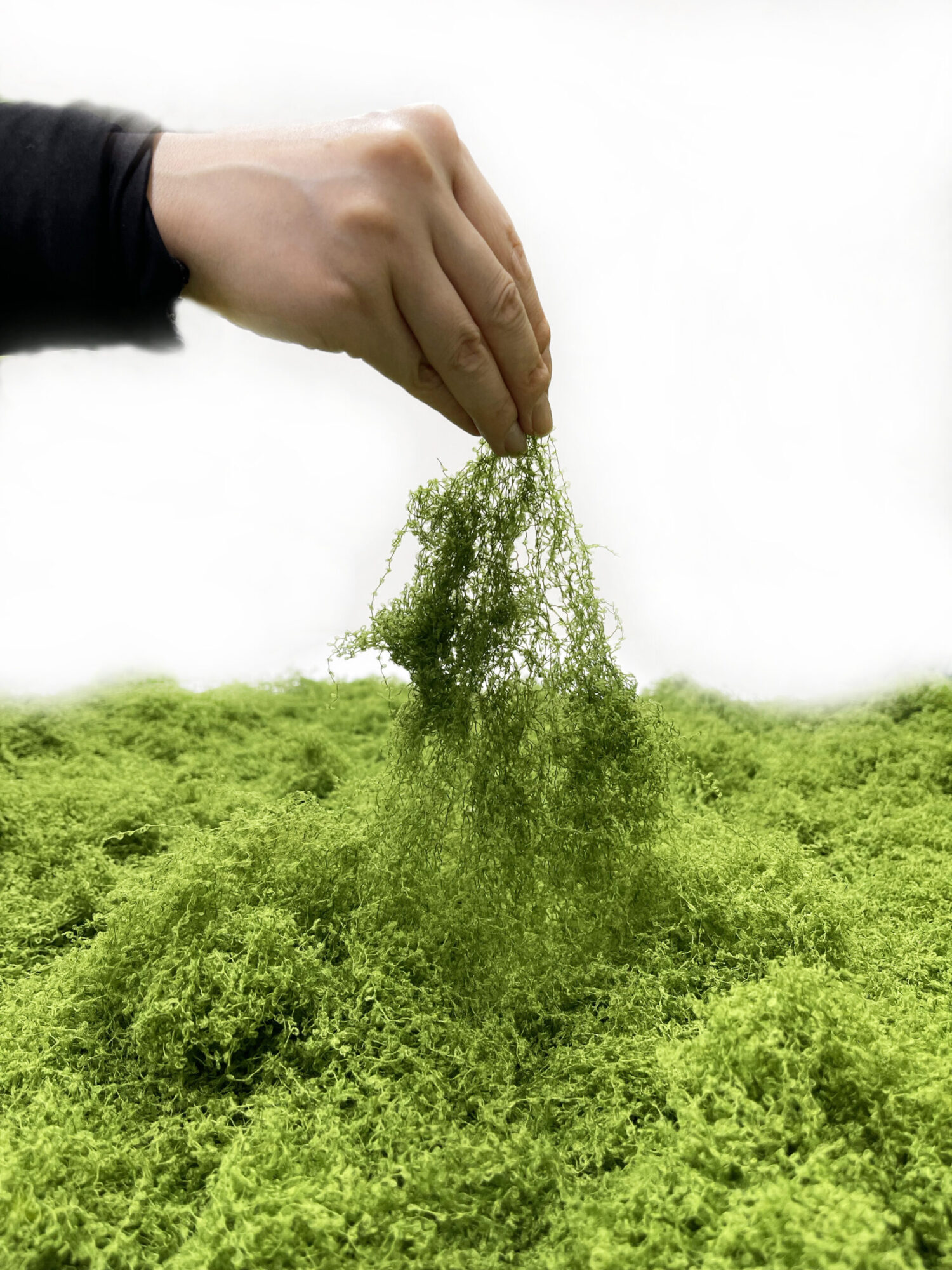 手で持ち上げたモス素材のアーティフィシャルグリーン